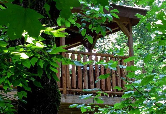 #2903 Abundantly Blessed Villa Pigeon Forge Exterior foto